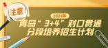 青島市2024年“3+4”對口貫通分段培養招生計劃