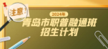 青島市2024年職普融通班招生計劃