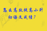 怎么高效提高小升初語文成績？