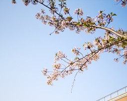 北京海淀區成志幼兒園