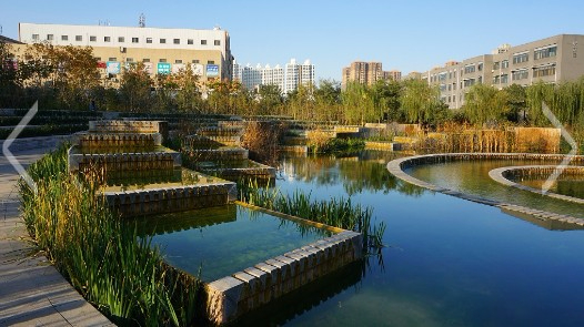 石家莊河北師范大學