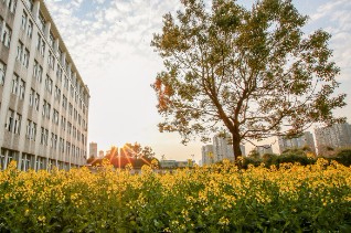 杭州浙大城市學院