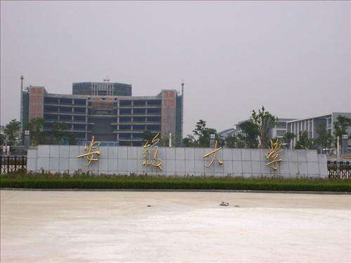 合肥安徽大學(xué)