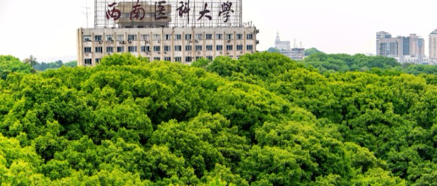 瀘州西南醫(yī)科大學