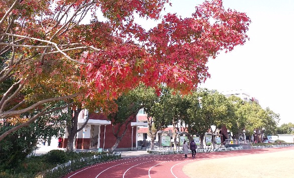 上海奉賢區新寺學校(九年一貫制)