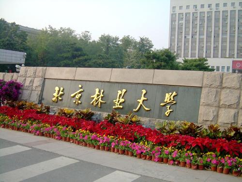 北京林業大學