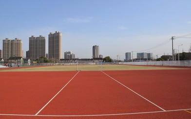 上海桃李園實驗學校(九年一貫制)